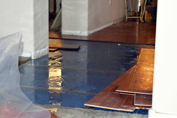 Professional Basement Flood Cleanup technician working in Adamsville, TN